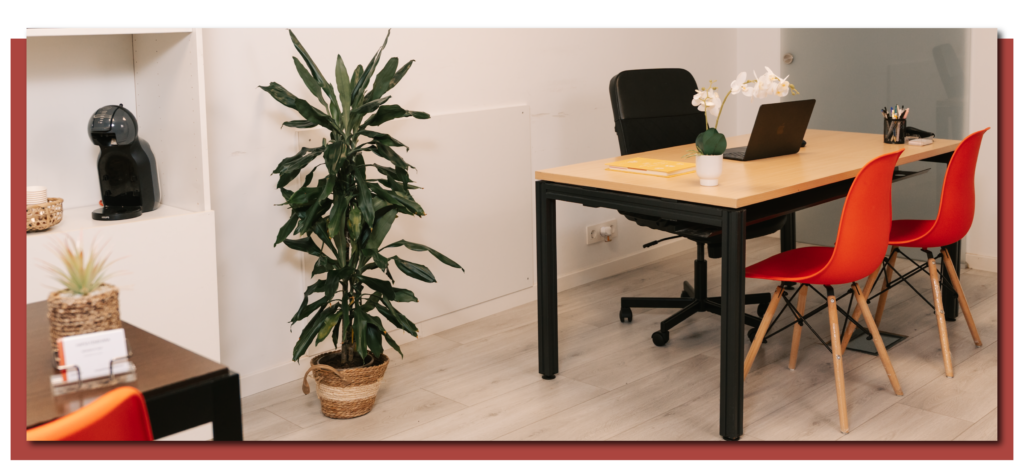 hafsafenehara 110 01